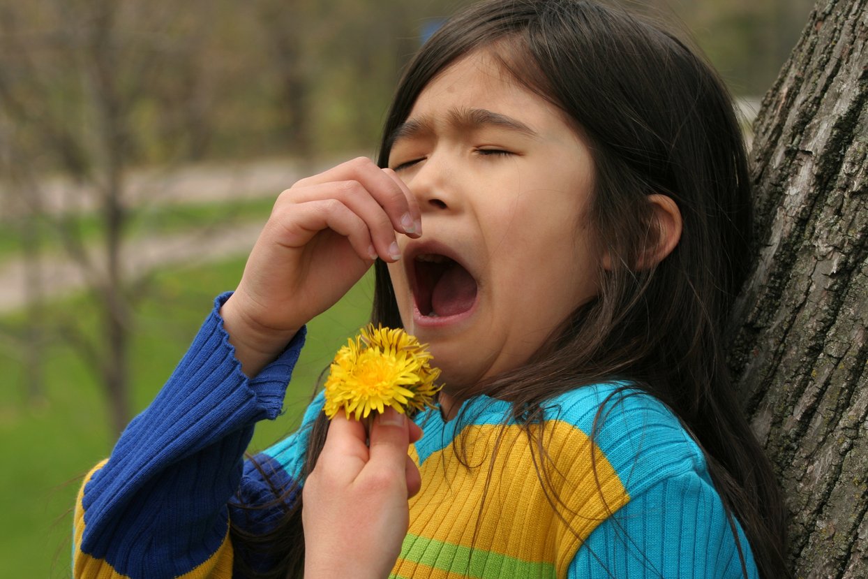 Аллергия на одуванчики у ребенка. Аллергия на одуванчики у ребенка фото. Сезонная аллергия. Сезонная аллергия у детей.