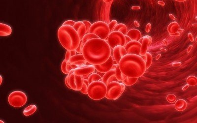 Signos y síntomas de la anemia