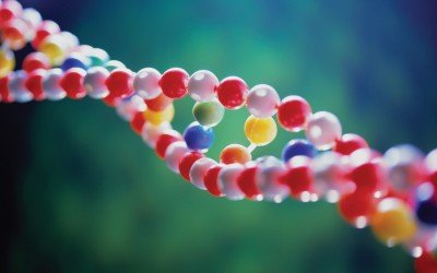 Genetica humana