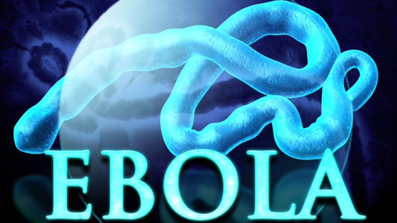 Enterate mas del ébola!