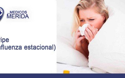 Gripe (Influenza estacional)