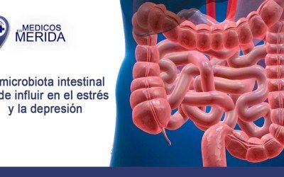 La microbiota intestinal puede influir en el estrés y la depresión