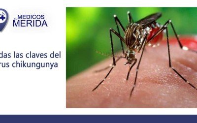 Todas las claves del virus chikunguña Se trata de una enfermedad transmitida por el mosquito responsable del dengue o la fiebre amarilla. ¿Es mortal?