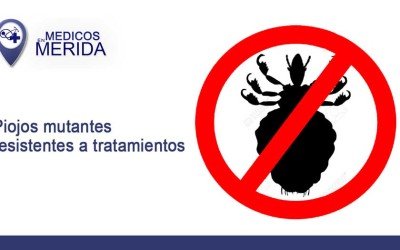 Piojos mutantes resistentes a tratamientos ‘invaden’ 25 estados de EE.UU.