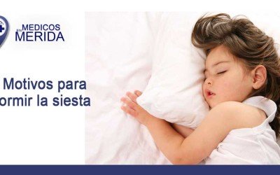 Motivos (científicos) para dormir la siesta