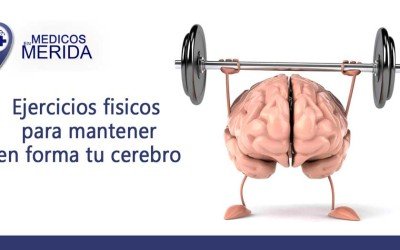 Ejercicios físicos para mantener en forma… tu cerebro