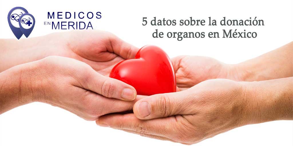 5 datos sobre la donación de órganos en México