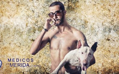 Que fumes también es malo para tu perro