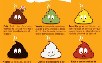 Cómo identificar el color de las heces