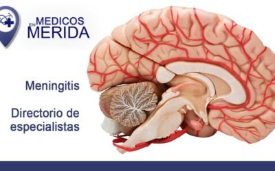 Meningitis
