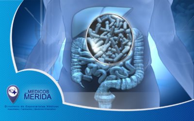 Beneficios de los probióticos
