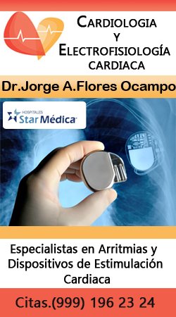 cardiologo-flores