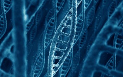 Trastornos geneticos mas comunes