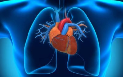 Enfermedades cardiovasculares