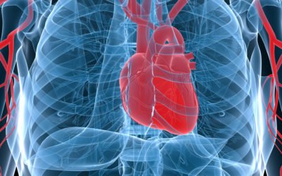 Mitos sobre los paros cardiacos