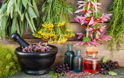 Tipos de homeopatía