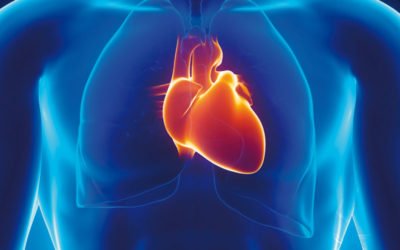 Como prevenir un ataque cardiaco
