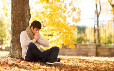 Otoño, la estación de la alergia a ácaros del polvo