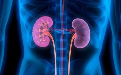 Cáncer de riñón: un chequeo general y a tiempo, puede salvarte