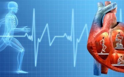 Todo lo que debes saber sobre el infarto de miocardio