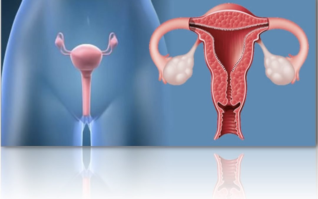 Ginecología regenerativa: la importancia de devolver la funcionalidad vaginal