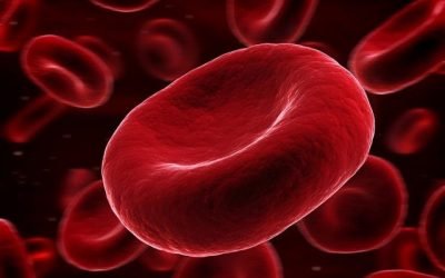 Â¿ QuÃ© son los Globulos rojos de la sangre?